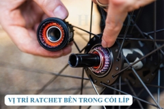 Mỡ Bảo Dưỡng Hub Ratchet DT SWISS 20G