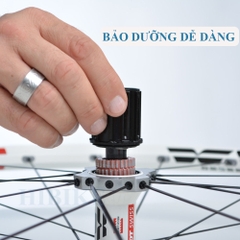 Mỡ Bảo Dưỡng Hub Ratchet DT SWISS 20G
