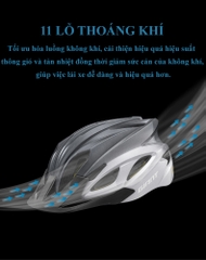 Mũ Bảo Hiểm Xe Đạp GIANT TRITON MIPS