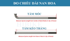 Tăm Xe Đạp Kéo Thẳng DT SWISS Champion 14G 2.0