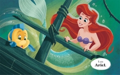 Twin Tales - The Little Mermaid & I Am A Princess