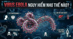 Virus Ebola là gì? Mức độ nguy hiểm và cách phòng tránh