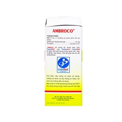 Siro Ambroco hỗ trợ tan đàm trong bệnh lý hô hấp (hộp 1 chai x 60ml)