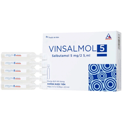 Dung dịch khí dung Vinsalmol 5mg/2.5ml trị triệu chứng hen cấp tính, đợt kịch phát hen (hộp 2 vỉ x 5 ống)
