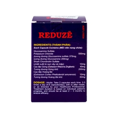 Thuốc Reduze giảm viêm khớp gối nhẹ và trung bình (hộp 5 vỉ x 12 viên)