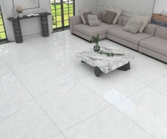 GẠCH PORCELAIN KHÁNG KHUẨN 100DONGVAN001-FP-H+