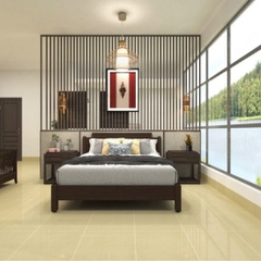 GẠCH PORCELAIN 2 DA 6060DB006