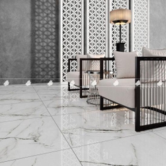 GẠCH PORCELAIN KHÁNG KHUẨN 8080DONGVAN004-FP-H+