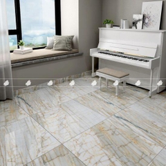 GẠCH PORCELAIN KHÁNG KHUẨN 8080DONGVAN005-FP-H+