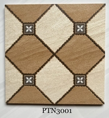 Gạch lát 30x30cm PTN 3001