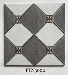Gạch lát 30x30cm PTN 3002