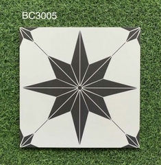 Gạch lát 30x30cm BC – 3005