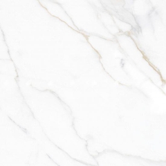 GẠCH PORCELAIN 6060VAMCODONG003-FP