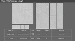 Gạch Viglacera 80x80 CLGP-810