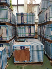 Gạch bán sứ 60x60cm Viglacera VG 6004