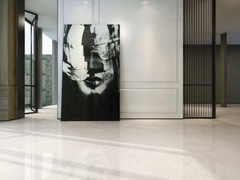 Gạch Viglacera 60x60 ECO S621