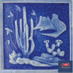 Gạch Hoa Văn Đại Dương 1A