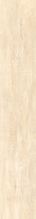 Gạch eurotile MM1 M04