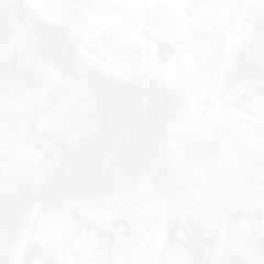 Gạch eurotile SIG. DNI E01