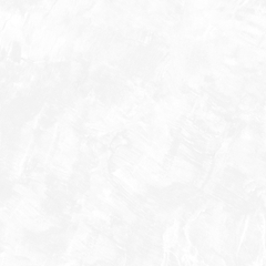 Gạch eurotile SIG. DNI E01