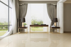 Gạch Viglacera 80x80 TS2 812