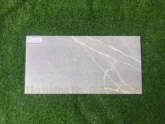 Gạch Đồng Tâm 30x60cm HLS010
