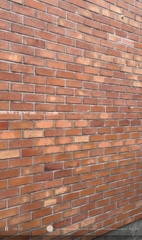 Gạch không trát hỏa biến
