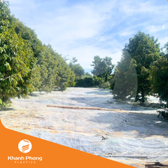 Màng phủ chống cỏ