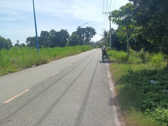 ĐẤT TRỒNG CÂY LÂU NĂM NHỊ BÌNH ĐÔNG THẠNH HÓC MÔN,  82M X 45M.