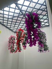 NHÀ LẠC LONG QUÂN P8 TÂN BÌNH. NHÀ NHỎ ĐẦY DỦ CÔNG NĂNG