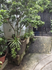 NHÀ ĐƯỜNG LŨY BÁN ÍCH HIỆP TÂN, TÂN PHÚ  4 X 16, 2 TẦNG 5,3 TỶ.