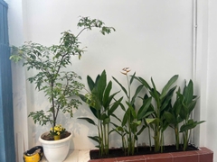 NHÀ ĐỖ CÔNG TƯỜNG TÂN KỲ TÂN QÚY TÂN PHÚ 2 TẦNG, GIÁ 3,6 TỶ.