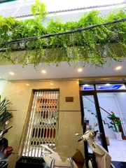 NHÀ NGUYỄN HỒNG ĐÀO T.BÌNH, HẺM TRƯỚC NHÀ 3M GIÁ 4,3 TỶ.