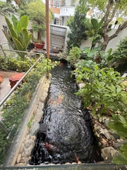 THÔNG SỐ VÀNG – CHUẨN BIỆT THỰ TRIỆU ĐÔ NGANG 18 M X 24M, 6 TẦNG.