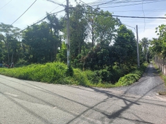 ĐẤT TRỒNG CÂY LÂU NĂM NHỊ BÌNH ĐÔNG THẠNH HÓC MÔN,  82M X 45M.