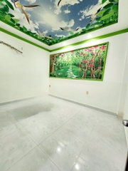 NHÀ HẺM XE HƠI LẠC LONG QUÂN TÂN BÌNH 58M2 GIÁ 5,2 TỶ.