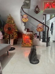 NHÀ ĐƯỜNG LŨY BÁN ÍCH HIỆP TÂN, TÂN PHÚ  4 X 16, 2 TẦNG 5,3 TỶ.