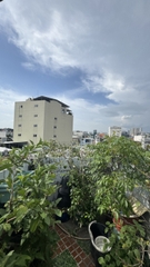 NHÀ ĐƯỜNG PHẠM VĂN HAI PHƯỜNG 3 TÂN BÌNH, GẦN SÂN BAY TÂN SƠN NHẤT.