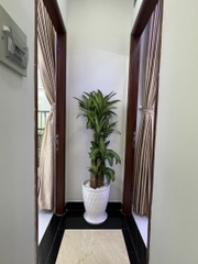 Nhà đường Nguyễn Hồng Đào, mới đẹp vị trí đắc địa tại Tân Bình.