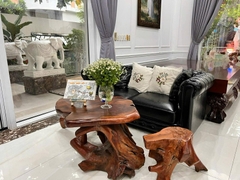 THÔNG SỐ VÀNG – CHUẨN BIỆT THỰ TRIỆU ĐÔ NGANG 18 M X 24M, 6 TẦNG.