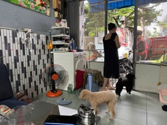 NHÀ HẺM XE HƠI THÔNG,  VỊ TRÍ KINH DOANH Ở TÂN BÌNH,  GIÁ 5 TỶ NHỈNH.