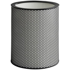 Màng lọc Hepa Dyson BP03 BP04 BP06