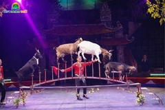 Núi Thần Tài 2026 Có Gì Mới? Hé lộ 2 show diễn cực kỳ HOT