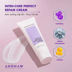 Kem dưỡng Ahohwa After Solution Inter-cure Perfect Repair Cream 500gr