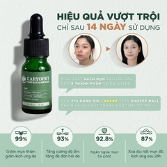 SERUM CARYOPHY PORTULACA AMPOULE