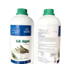 KILL ALGAE 1LIT