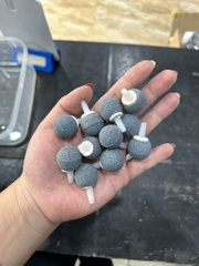 Quả sủi tròn ghi 2cm
