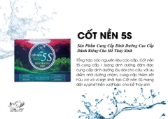 CỐT NỀN 5S- 1L