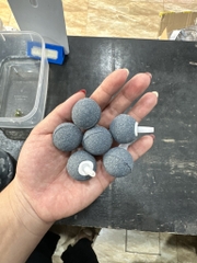Quả sủi tròn ghi 3cm
