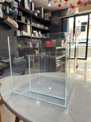 Bể cubic siêu trong 40cm
